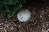 鹿島大神宮の自然