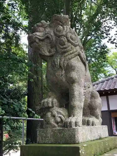 糀谷八幡宮の狛犬