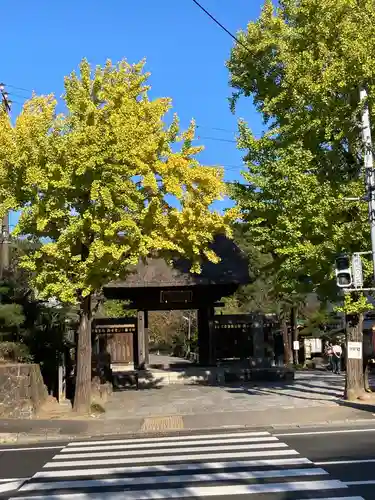 龍寳寺（龍宝寺）(神奈川県)