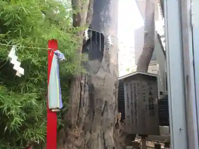 東神奈川熊野神社(神奈川県)