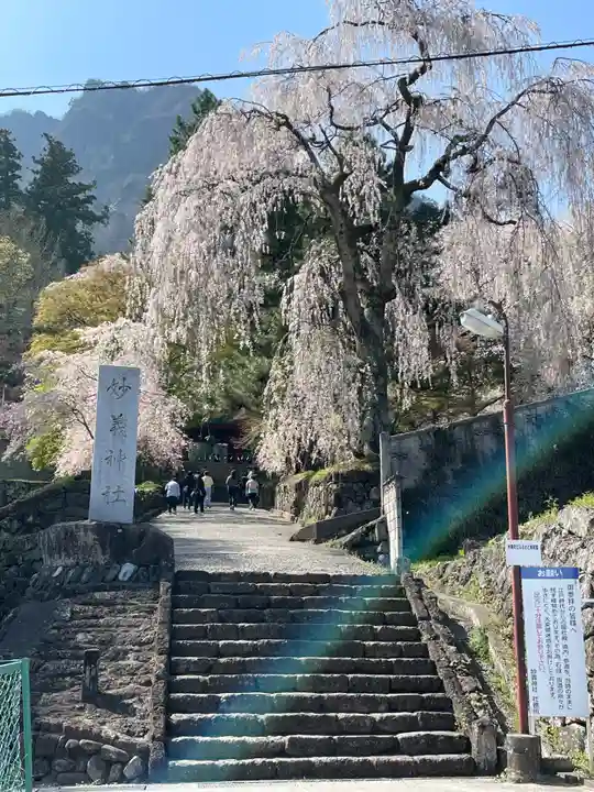 妙義神社(群馬県)
