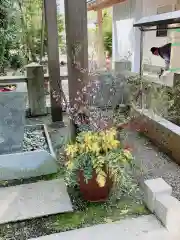 立江八幡神社(徳島県)