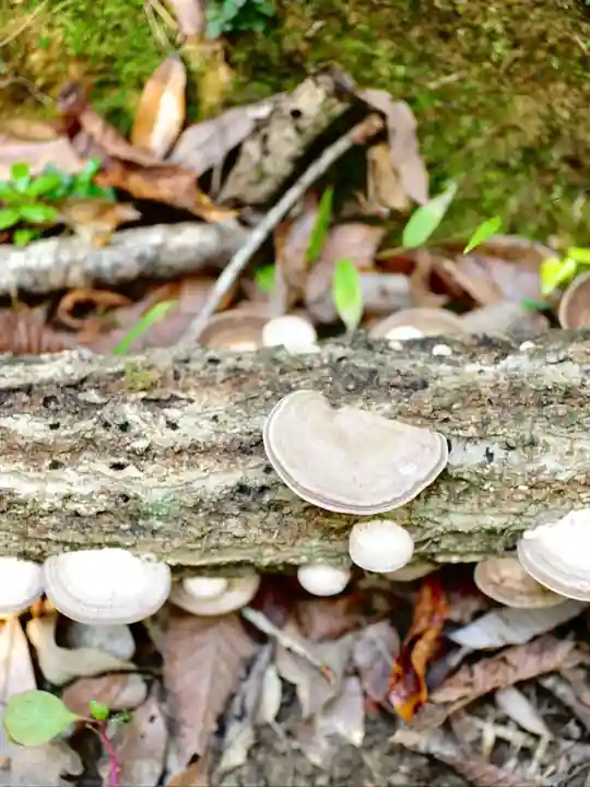 浄土寺(兵庫県)
