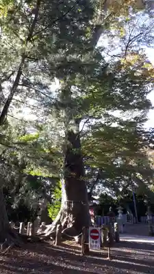 日吉神社(福島県)