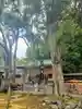 王子神社の本殿・本堂