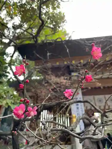 東京大神宮(東京都)