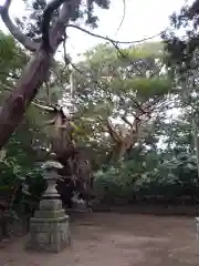 日之本八幡。の建物その他