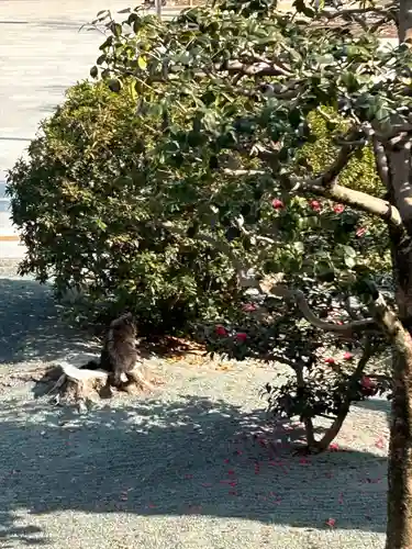 豊川閣　妙厳寺(愛知県)