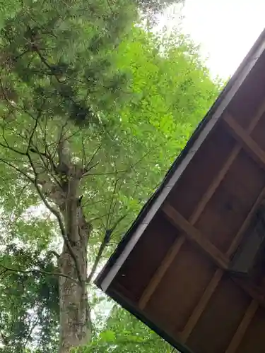 稲積神社の自然