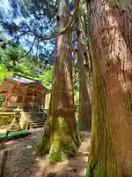 藤沼神社(福島県)