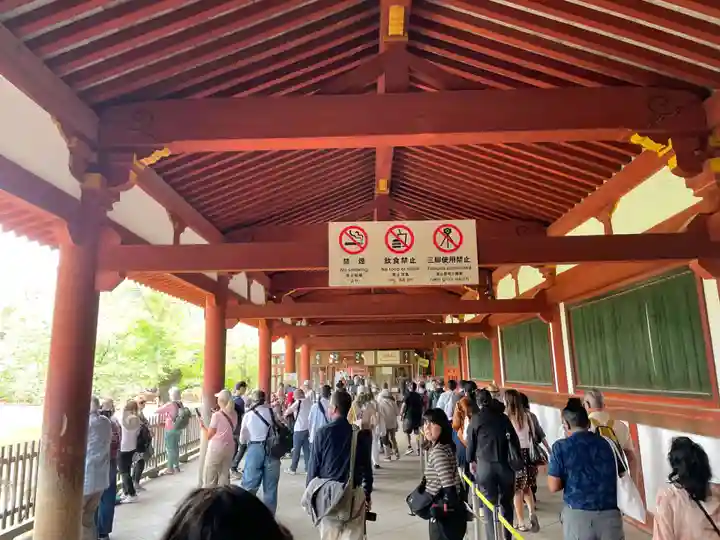 東大寺(奈良県)