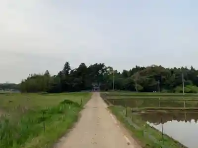 稲荷神社の周辺