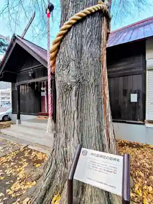 中の島神社(北海道)