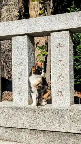 柏諏訪神社の動物