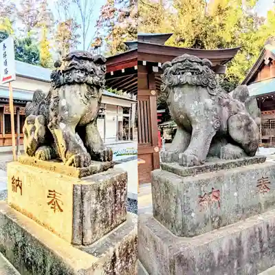 岩槻久伊豆神社の狛犬