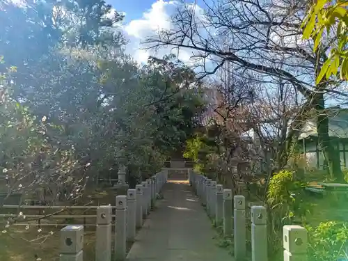 観蔵院 曼荼羅寺(東京都)