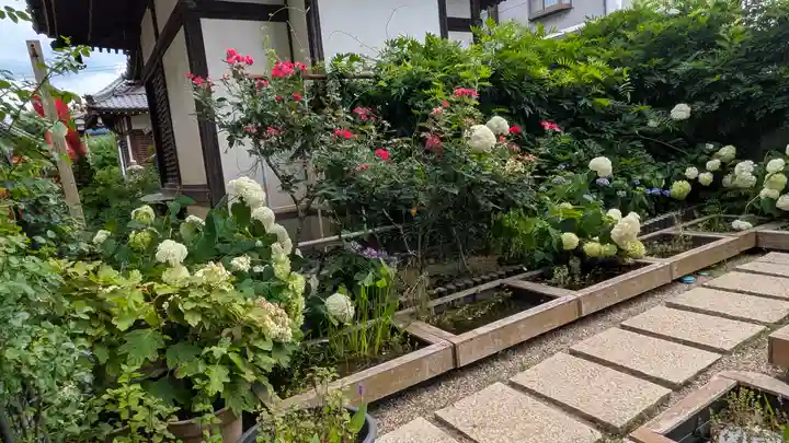 おふさ観音(観音寺)(奈良県)