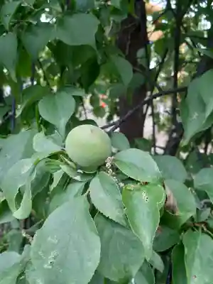 水海道天満宮(茨城県)