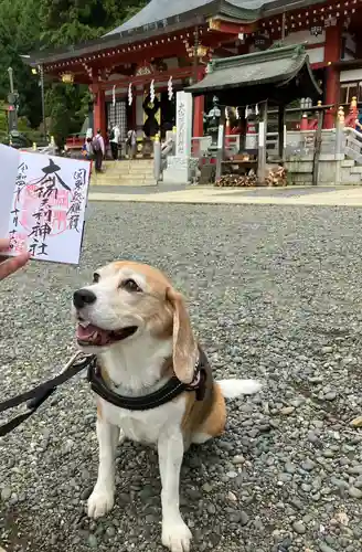 大山阿夫利神社(神奈川県)