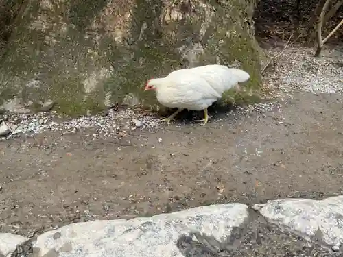 伊勢神宮外宮（豊受大神宮）(三重県)