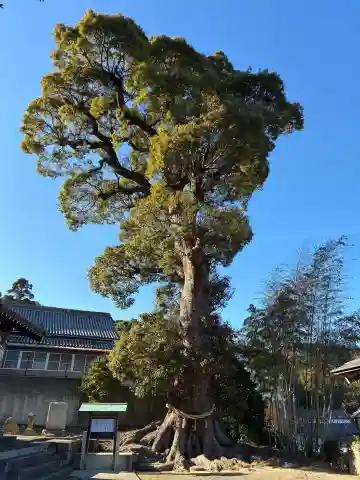 諏訪神社(徳島県)