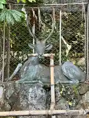 枚岡神社(大阪府)