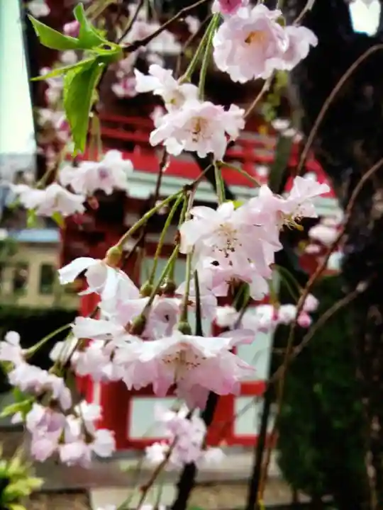成子天神社(東京都)