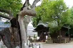 阿邪訶根神社の景色