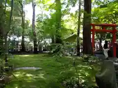 野宮神社(京都府)