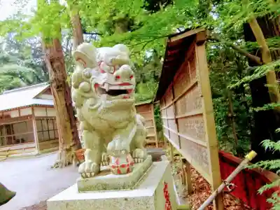 麻賀多神社の狛犬