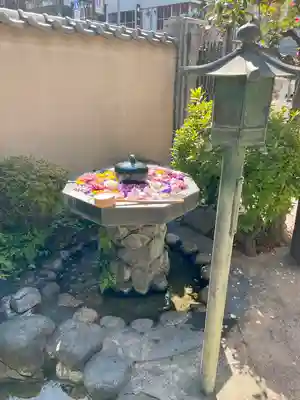 神楽坂安養寺(東京都)