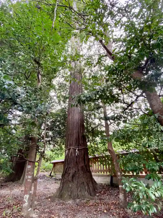 山國神社(京都府)