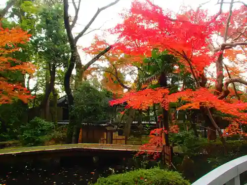 大正寺の庭園