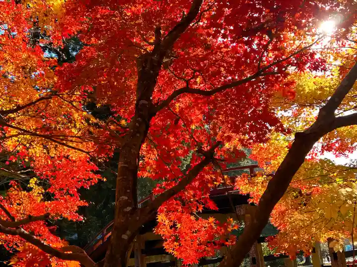 丹生都比売神社(和歌山県)