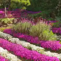 寿量山 速成寺の庭園