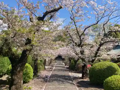 光長寺(静岡県)