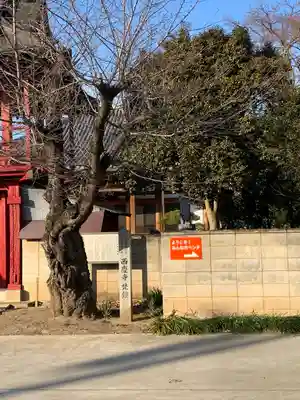 西慶寺(新田触不動尊)(群馬県)