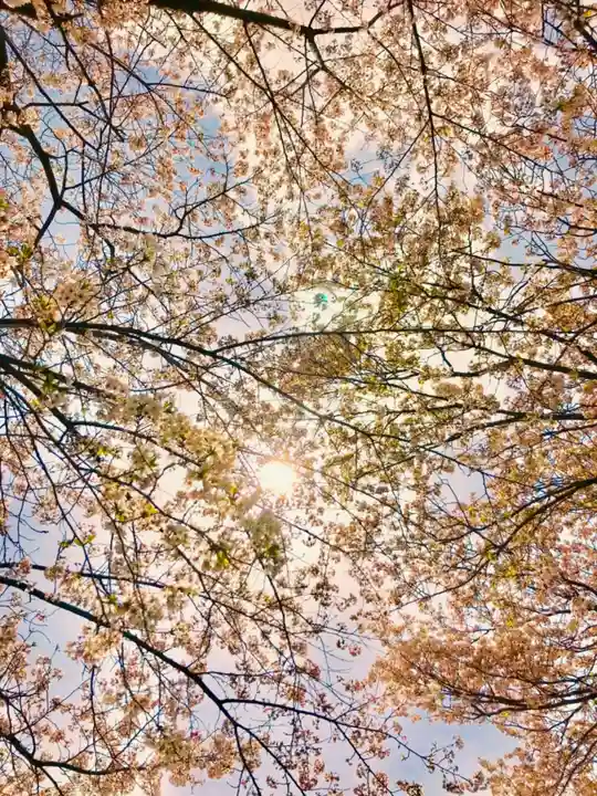 金嶽神社の自然