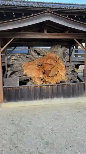 本山専修寺(三重県)