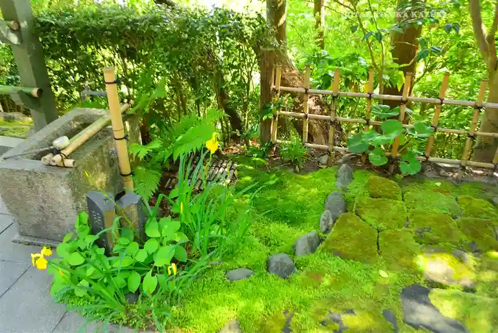 杉本寺(神奈川県)