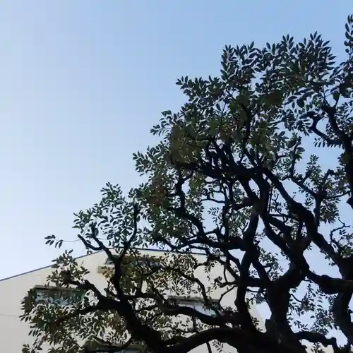 松坂稲荷大明神の自然