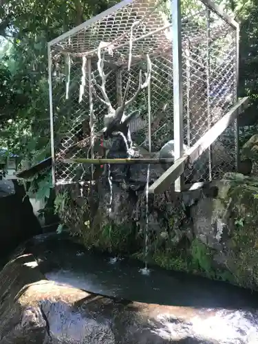 枚岡神社の手水