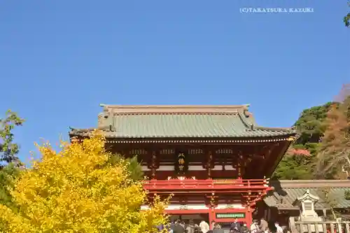 鶴岡八幡宮の本殿・本堂
