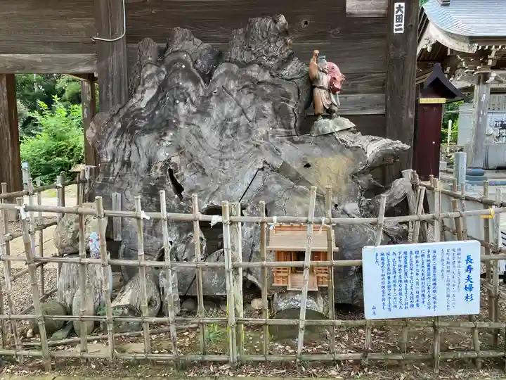 高蔵寺(千葉県)