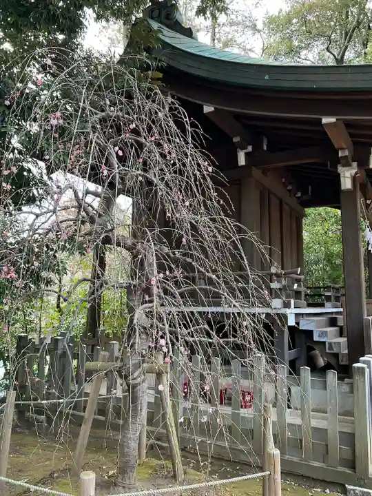 武蔵一宮氷川神社(埼玉県)