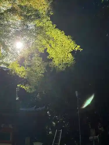 宝山寺(奈良県)