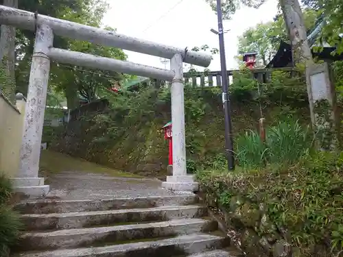 箱根神社の鳥居