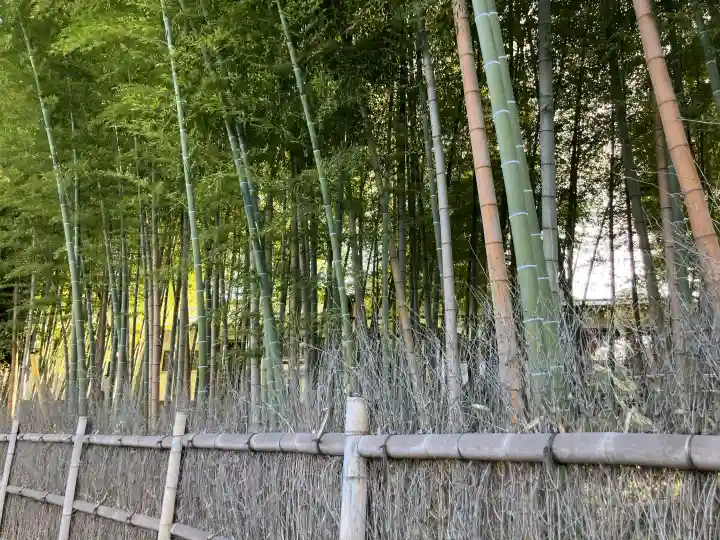 清水寺の{uncategorized: "未分類", other: "その他", undefined: "問題あり", building: "その他建物", grave: "お墓", sacred_gate: "鳥居", guardian: "狛犬", statue: "像", buddha: "仏像", history: "歴史", nature: "自然", garden: "庭園", animal: "動物", pagoda: "塔", temizu: "手水舎", mountain_gate: "山門・神門", sanctuary: "本殿・本堂", subordinate: "末社・摂社", art: "芸術", scenery: "景色", jizo: "地蔵", ema: "絵馬", goshuin: "御朱印", omikuji: "おみくじ", items: "授与品その他", amulet: "お守り", goshuincho: "御朱印帳", eats: "食事", festival: "お祭り", votive_dance: "神楽", shichigosan: "七五三参", wedding: "結婚式", experience: "体験その他", initially: "初詣", around: "周辺", anti_infection: "感染症対策"}