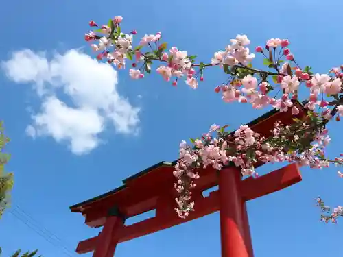 尼崎えびす神社の鳥居