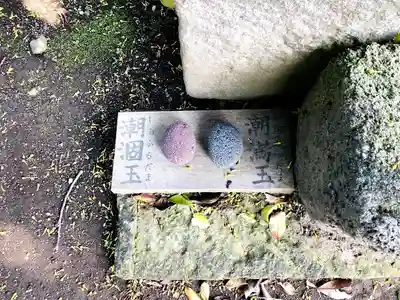 枚聞神社(鹿児島県)